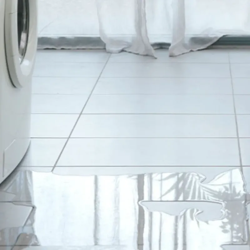 Appliance Leak Cleanup in Petersburg, WV