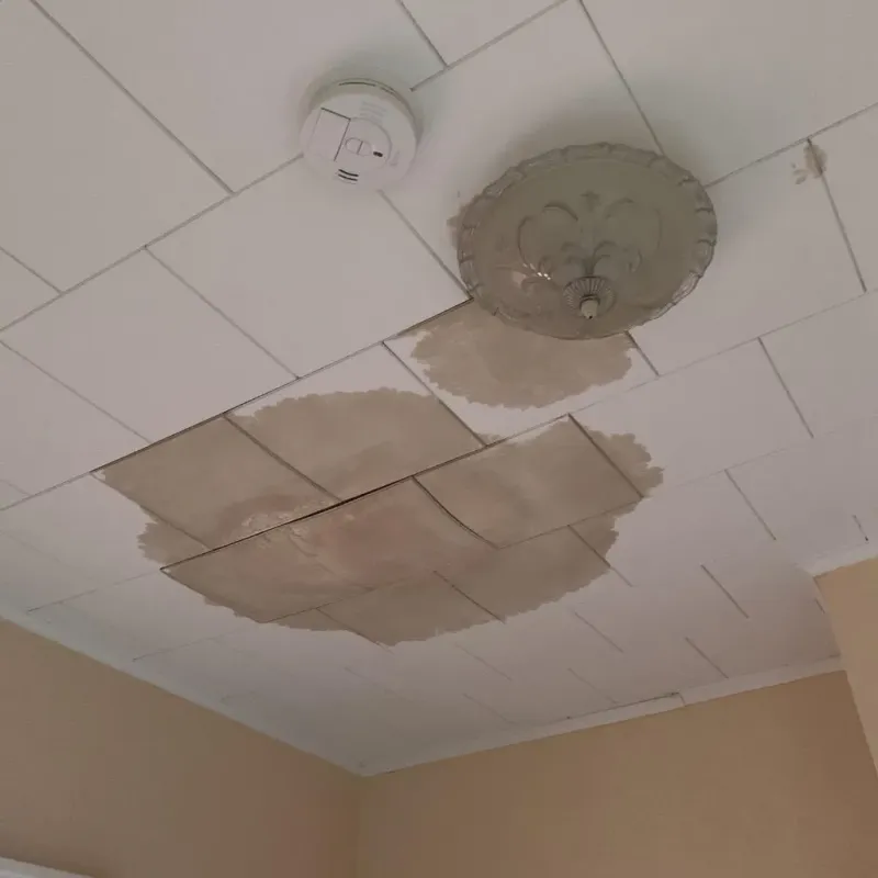 Ceiling Water Damage Repair in Petersburg, WV