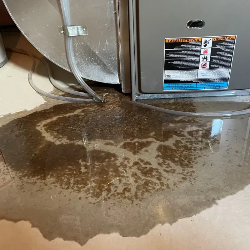 Pipe Burst and Leak Restoration in Petersburg, WV
