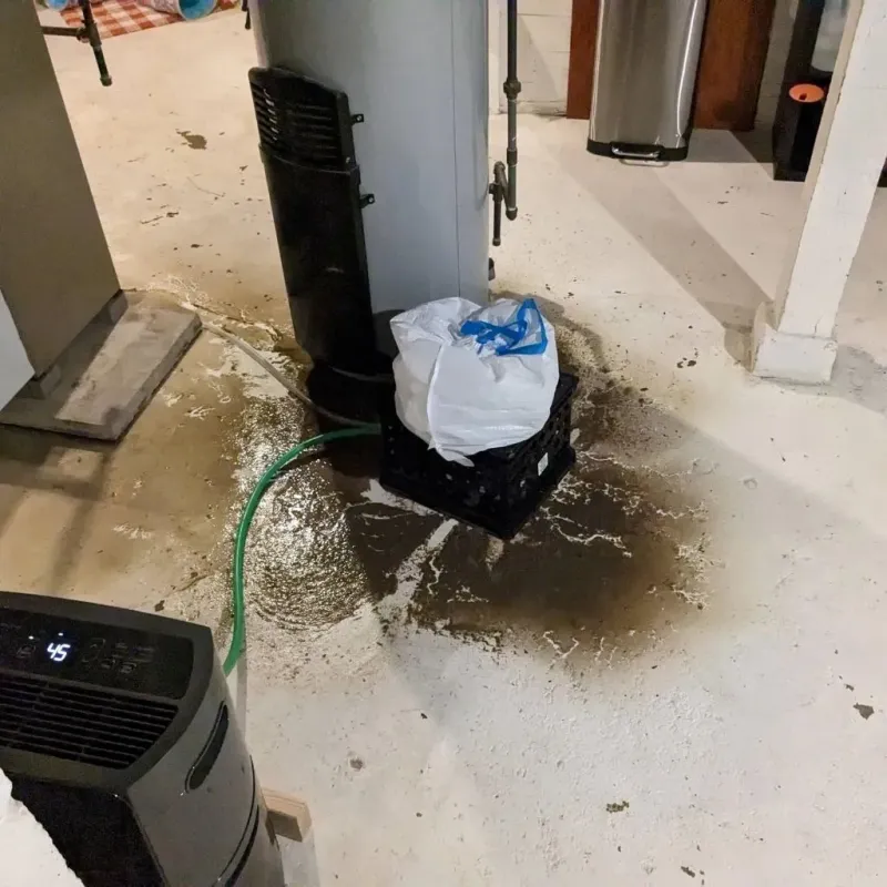 Sewage Backup Cleanup Service in Petersburg, WV